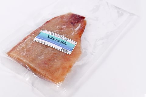 Lab-Grown Salmon fish