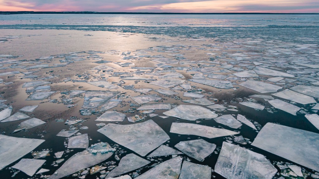 Broken ice on the surface of the calm water near the shore at sunset